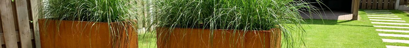 <span id="term" class="Plantenbak"/> bodems <span id="term" class="Plantenbak"/> bodems