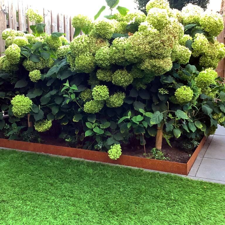 Trädgårdskant tillplanad cortenstål 13 cm (längd 150 cm)
