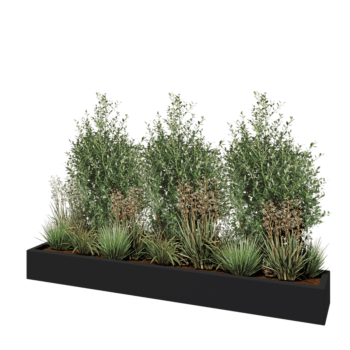 Kruka i polyester - Rektangel - 200 x 30 x 20 cm - RAL7021 matt (svartgrå) - Med botten