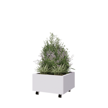 Kruka i stål - Fyrkant - 60 x 60 x 30 cm - RAL9010 matt (vit) - Med bottenplatta - Med hjul