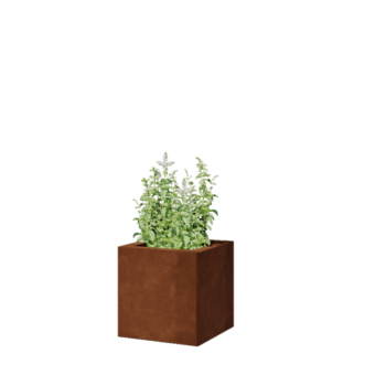 Kruka i cortenstål - Fyrkant - 30 x 30 x 30 cm - Utan bottenplatta