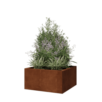 Kruka i cortenstål - Fyrkant - 60 x 60 x 30 cm - Med bottenplatta