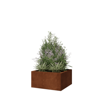 Kruka i cortenstål - Fyrkant - 60 x 60 x 30 cm - Utan bottenplatta