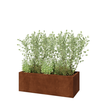 Kruka i cortenstål - Rektangel - 120 x 50 x 40 cm - Utan bottenplatta