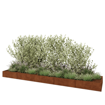 Kruka i cortenstål XXL - Rektangel - 500 x 100 x 30 cm - Med bottenplatta