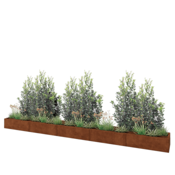 Kruka i cortenstål XXL - Rektangel - 500 x 50 x 30 cm - Med bottenplatta