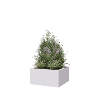 Kruka i stål - Fyrkant - 60 x 60 x 30 cm - RAL9010 matt (vit) - Utan bottenplatta