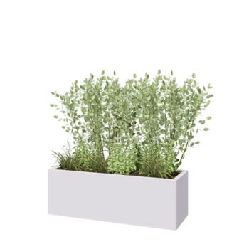 Kruka i stål - Rektangel - 120 x 40 x 40 cm - RAL9010 matt (vit) - Utan bottenplatta