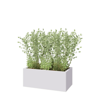 Kruka i stål - Rektangel - 100 x 50 x 40 cm - RAL9010 matt (vit) - Utan bottenplatta