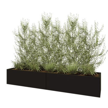 Kruka i stål XXL - Rektangel - 240 x 50 x 40 cm - RAL9005 matt (svart) - Utan bottenplatta