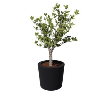 Kruka i polyester - Konisk - Ø 63 x 52 cm - RAL7021 matt (svartgrå) - Med botten