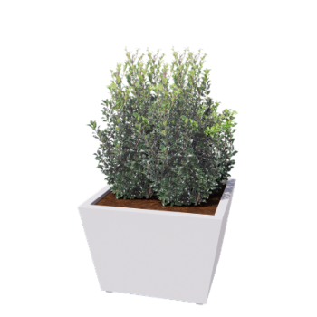 Kruka i stål - Konformad - 80 x 80 x 51,5 cm - Svetsad - RAL9010 matt (vit) - Med bottenplatta