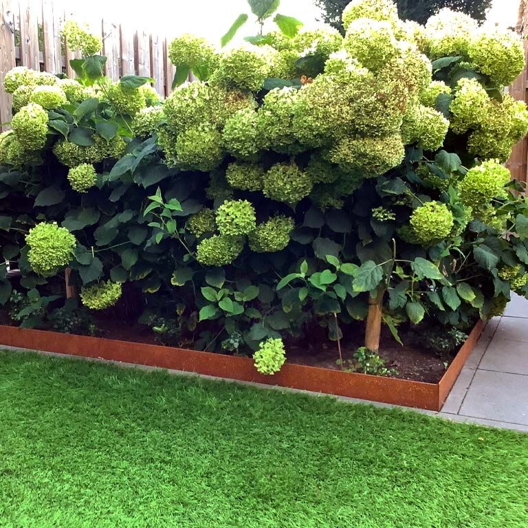Trädgårdskant tillplanad cortenstål 13 cm (längd 150 cm)
