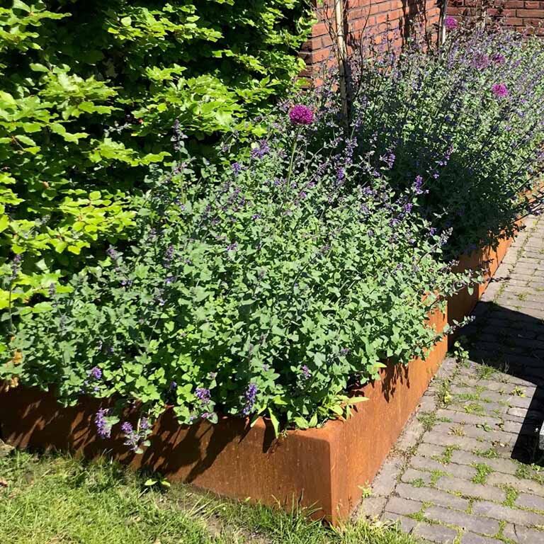 Cortenstål stödmur rak 100 cm (höjd 50 cm)