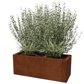 Kruka i cortenstål - Rektangel - 30 x 80 cm