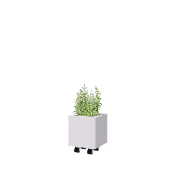 Kruka i stål - Fyrkant - 30 x 30 x 30 cm - RAL9010 matt (vit) - Med bottenplatta - Med hjul
