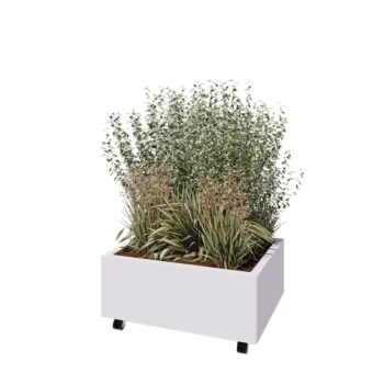 Kruka i stål - Rektangel - 80 x 60 x 30 cm - RAL9010 matt (vit) - Med bottenplatta - Med hjul