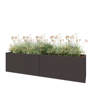 Kruka i stål XXL - Rektangel - 240 x 50 x 60 cm - RAL7016 matt (antracitgrå) - Utan bottenplatta