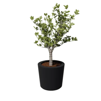 Kruka i polyester - Konisk - Ø 63 x 52 cm - RAL7021 matt (svartgrå) - Med botten