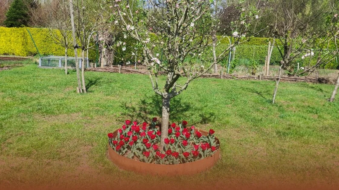 Hur gör man en kant runt ett träd?