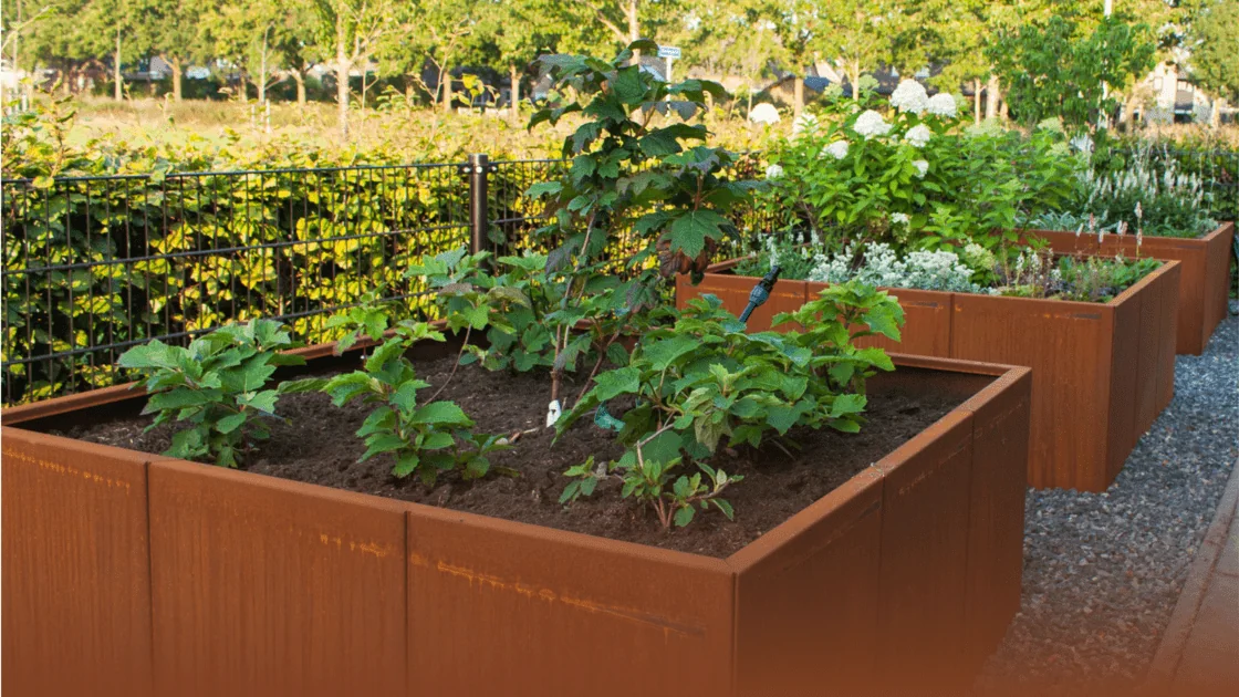 Cortenstål Guide: allt du vill veta om detta material