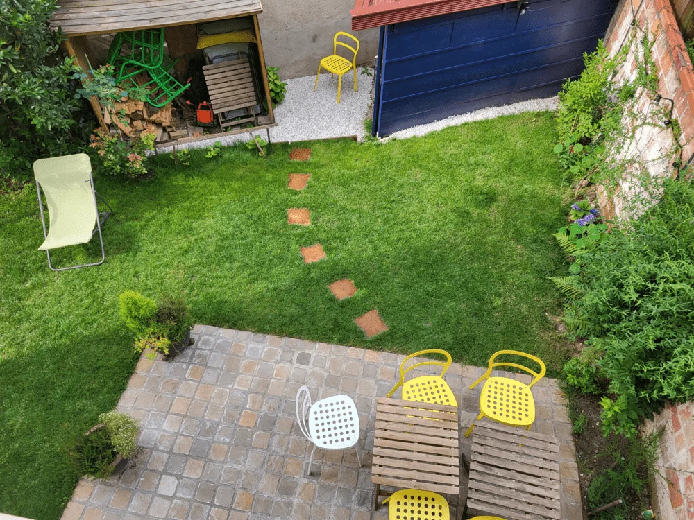 Vilka växter passar bäst runt gångplattor?